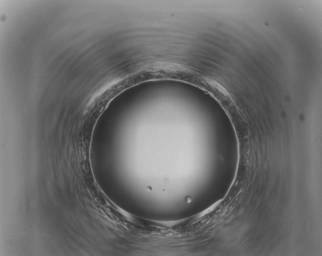 X0000064771112200602171817