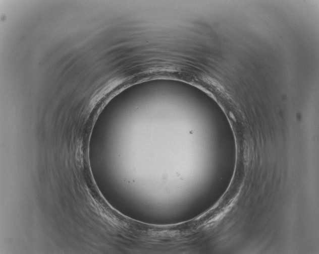 X0000064771113200602171817