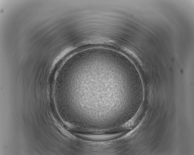 X0000064771114200602171817