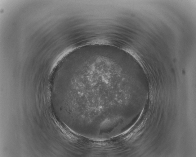 X0000064771115200602171817