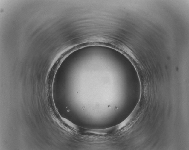 X0000064771116200602171817