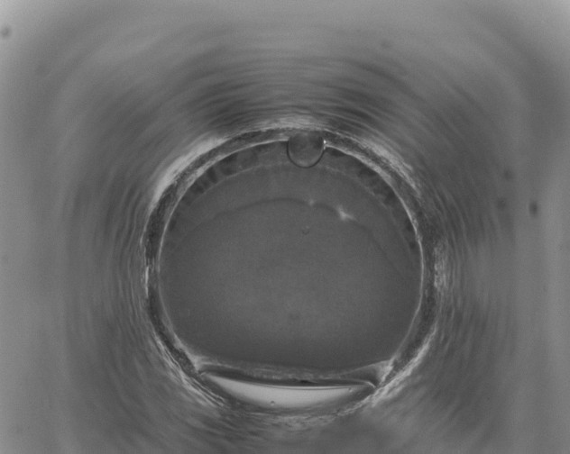 X0000064771117200602171817