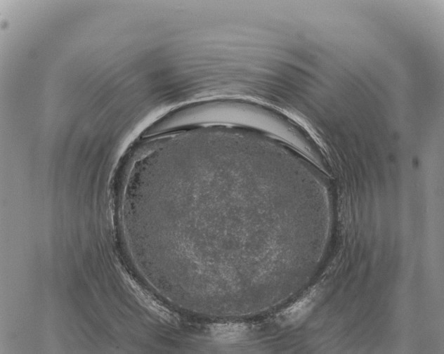 X0000064771118200602171817