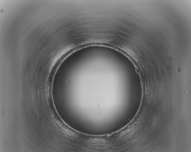 X0000064771119200602171817