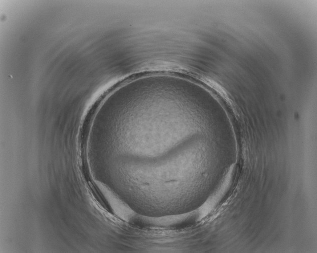 X0000064771120200602171817