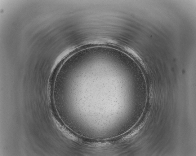 X0000064771122200602171817