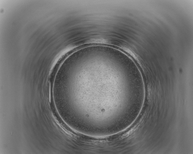 X0000064771123200602171817