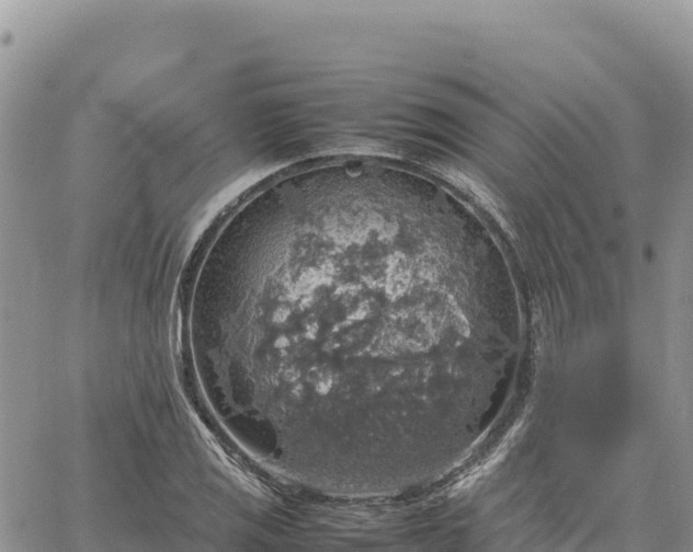 X0000064771125200602171818