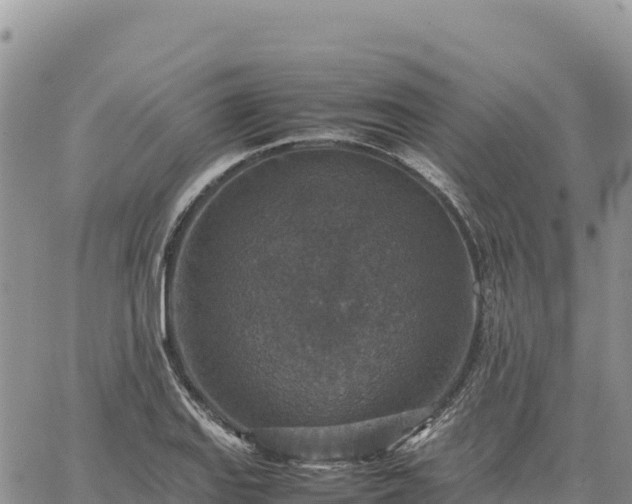 X0000064771127200602171818