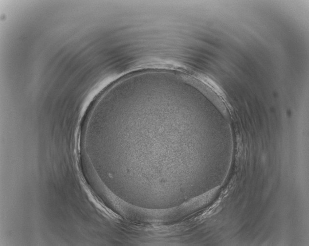 X0000064771128200602171818