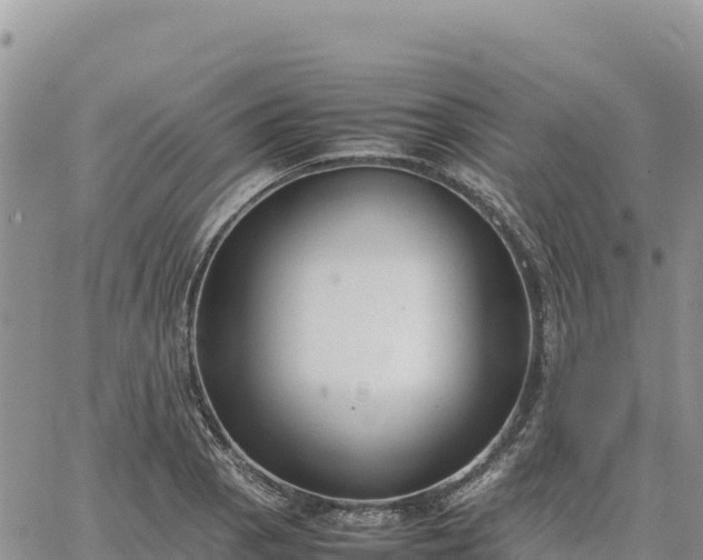 X0000064771129200602171818