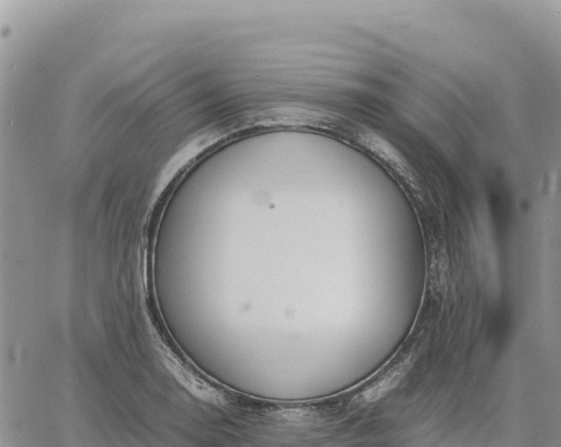 X0000064771130200602171818