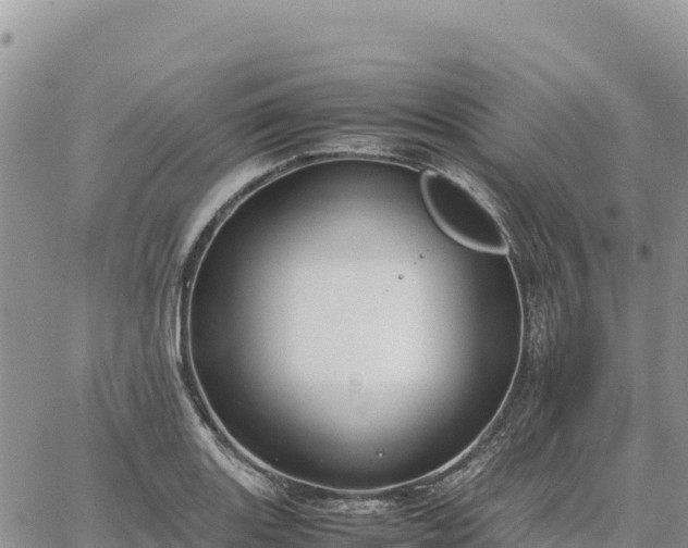 X0000064771131200602171818