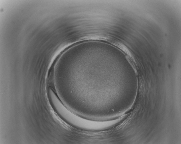 X0000064771132200602171818