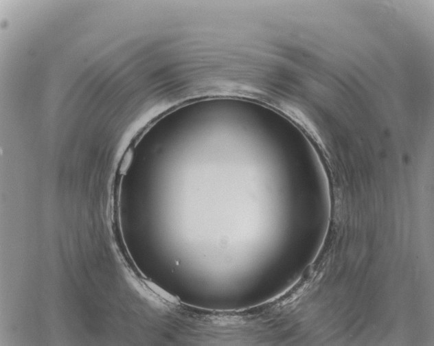 X0000064771136200602171818