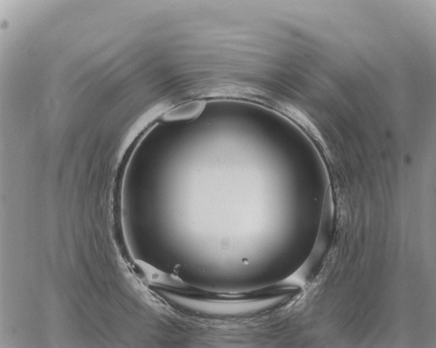 X0000064771138200602171818