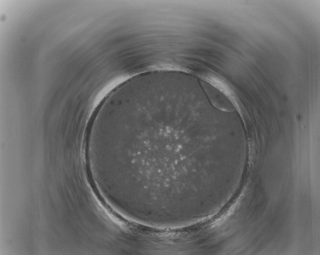 X0000064771141200602171818