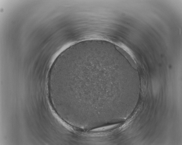 X0000064771142200602171818