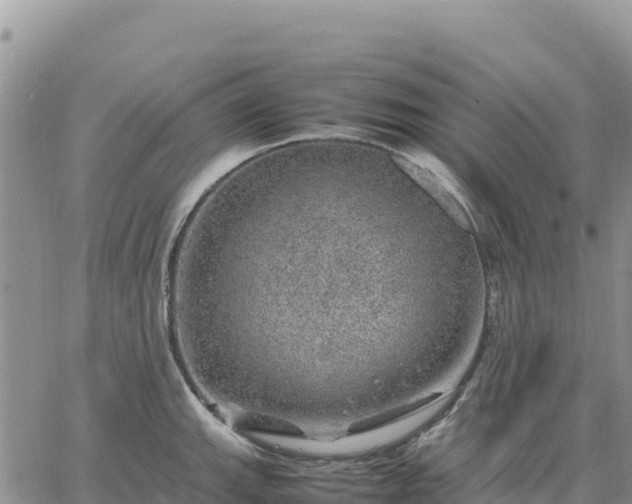 X0000064771143200602171818