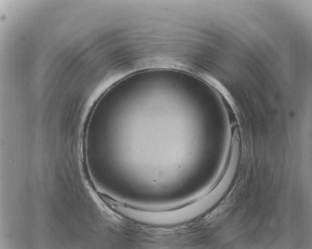 X0000064771144200602171818