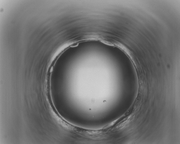 X0000064771147200602171818