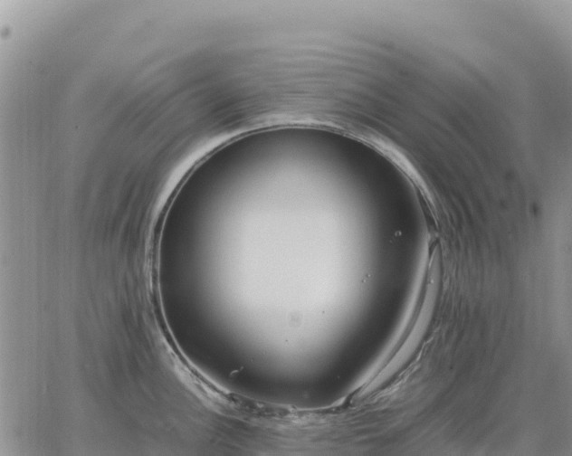 X0000064771148200602171818