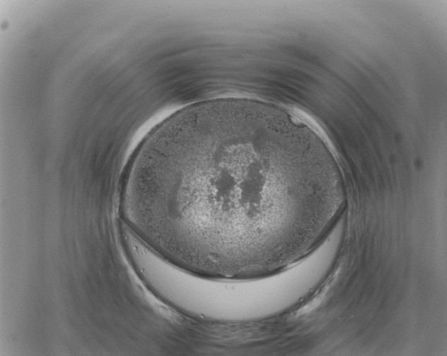 X0000064771149200602171818