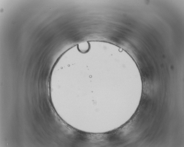 X0000064771150200602171818