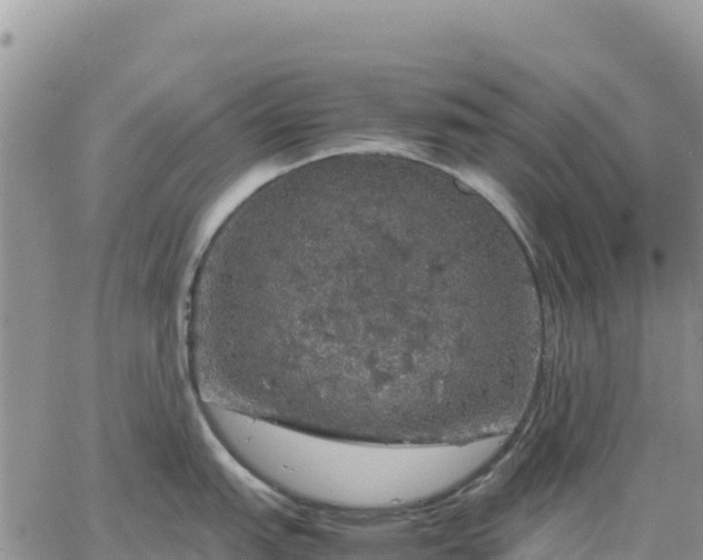 X0000064771151200602171818