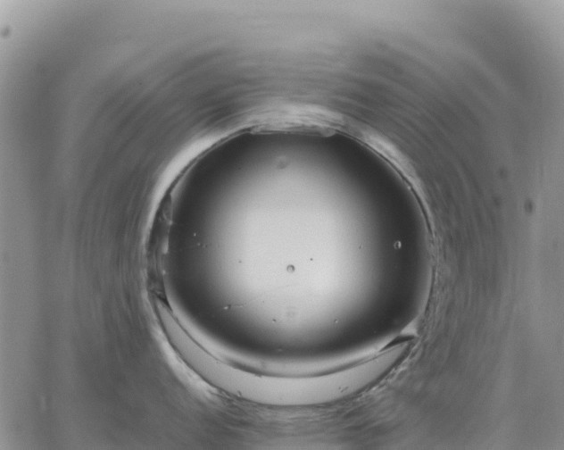 X0000064771152200602171818