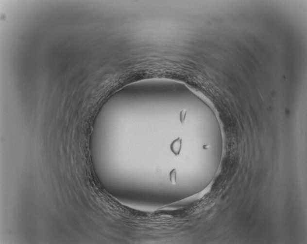 X0000064771153200602171817