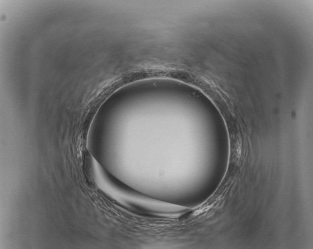 X0000064771157200602171817