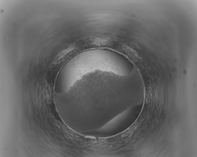 X0000064771158200602171817