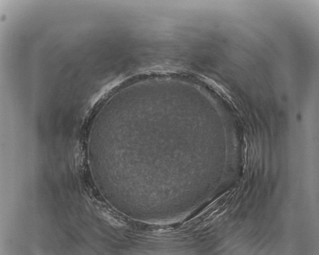 X0000064771160200602171817