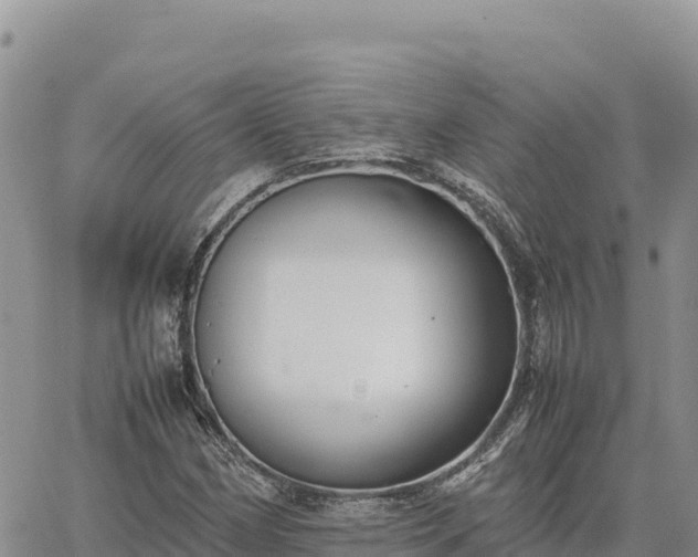 X0000064771162200602171817