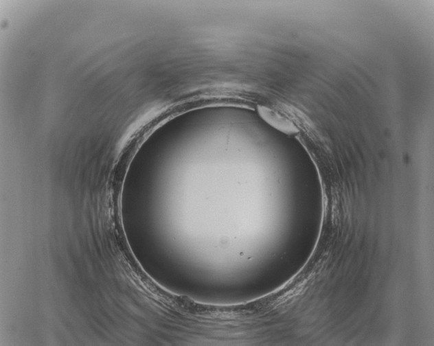 X0000064771164200602171817