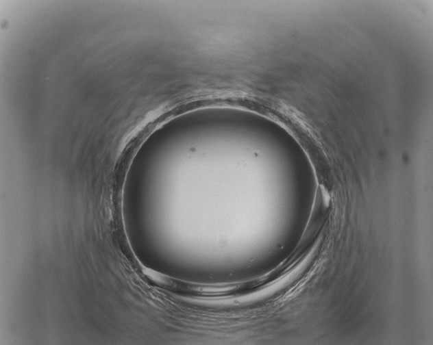 X0000064771165200602171817