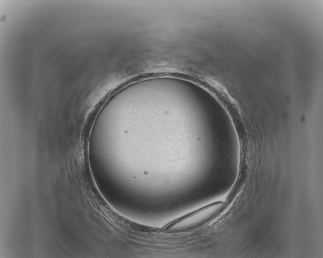 X0000064771167200602171817