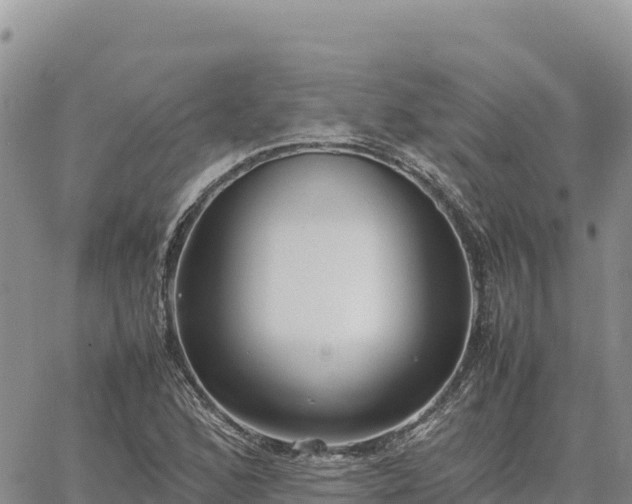 X0000064771168200602171817