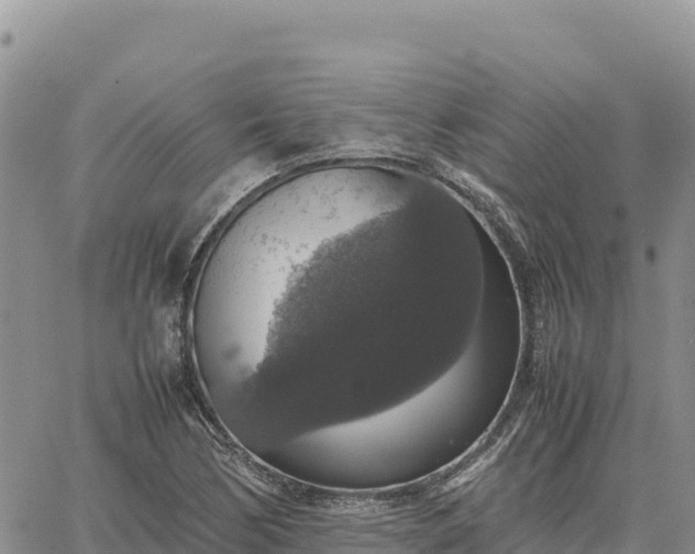 X0000064771170200602171817