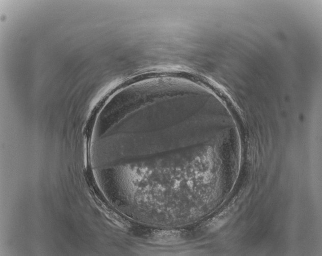 X0000064771171200602171817