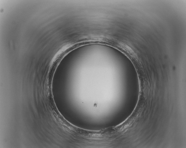 X0000064771172200602171817