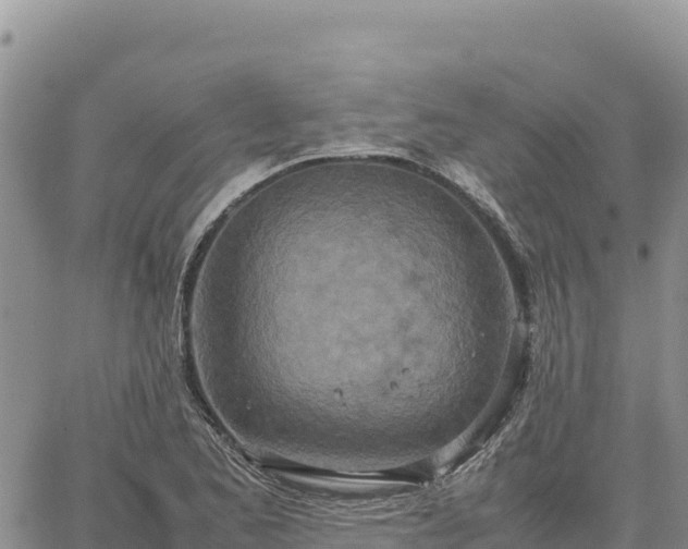 X0000064771173200602171817