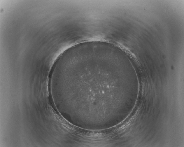 X0000064771174200602171817