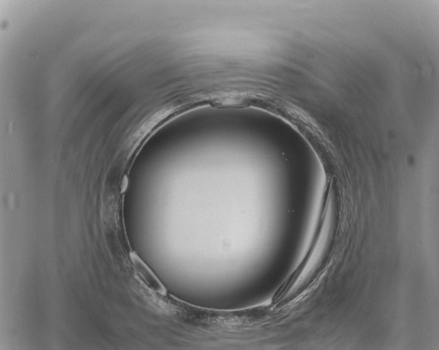 X0000064771177200602171817