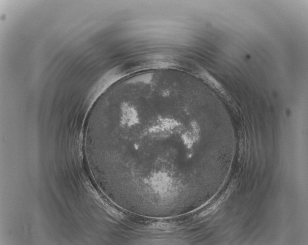 X0000064771178200602171817