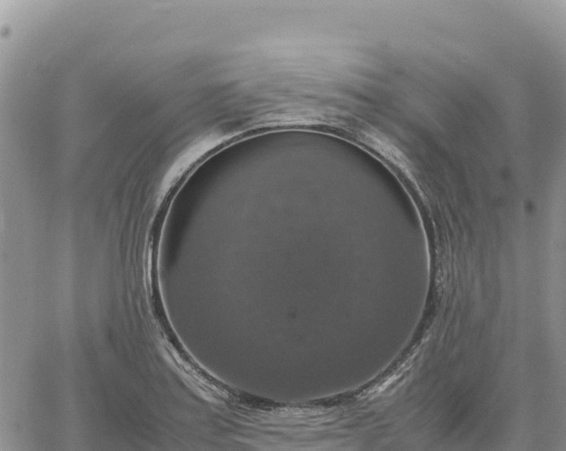 X0000064771179200602171817