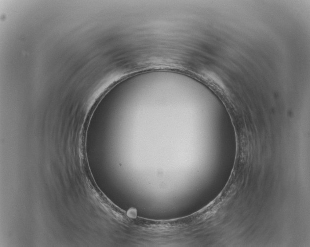 X0000064771182200602171817