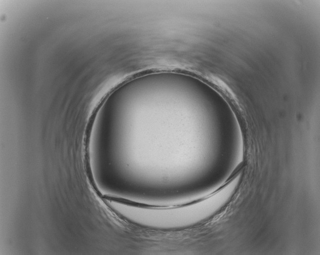 X0000064771183200602171817