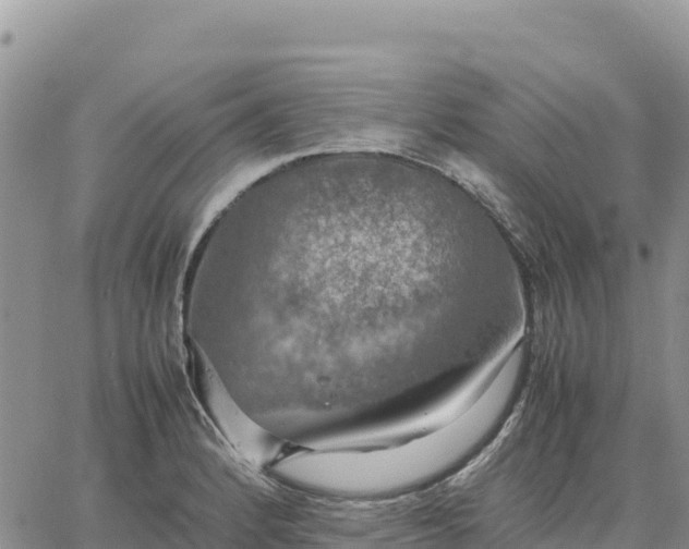 X0000064771184200602171817